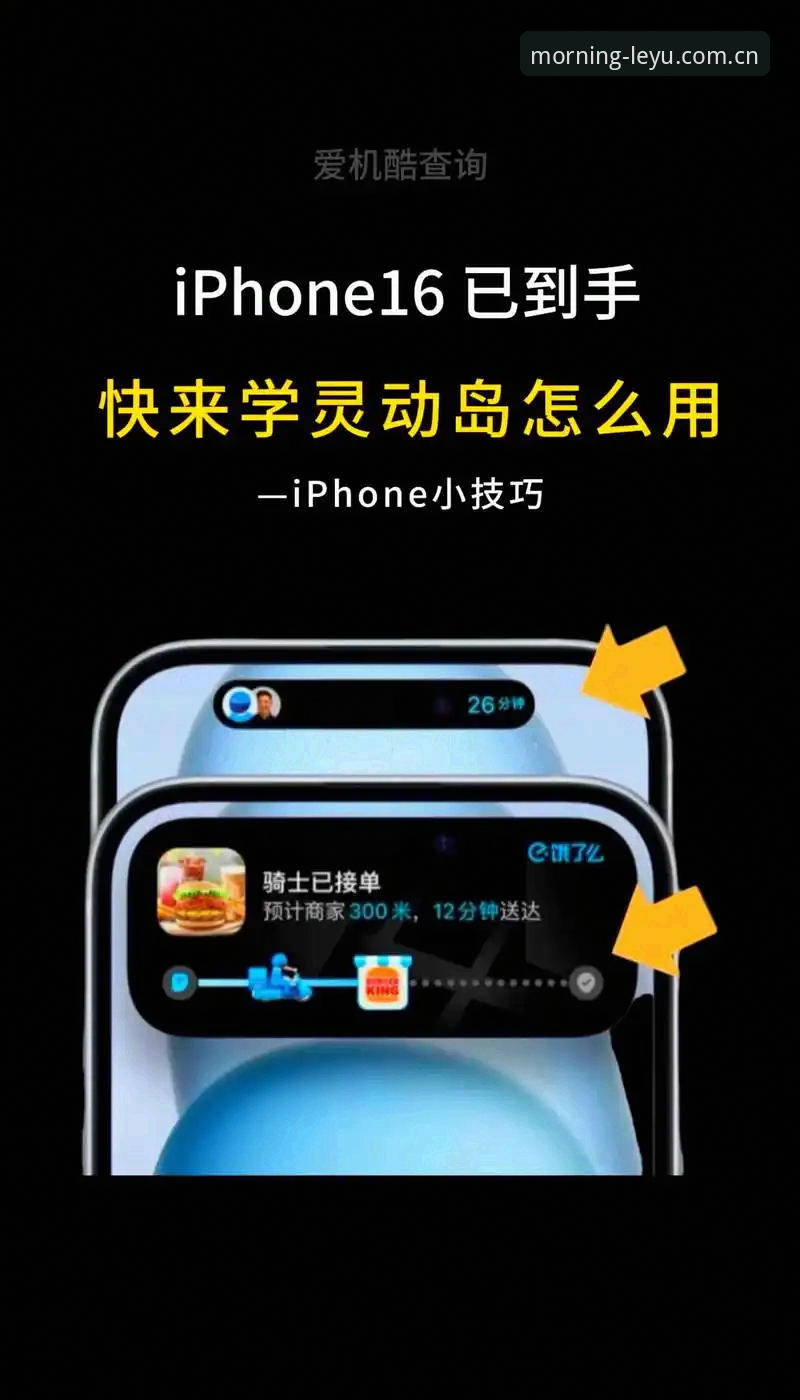 LEYU手机版实用指南：晨间赛事数据查看效率优化方案